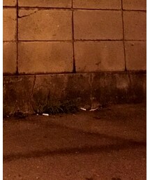 Bershka | スニーカー