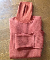 タートルネックニット
(ニット/セーター)