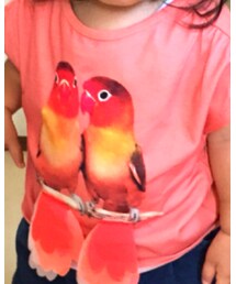 H&M | Tシャツ/カットソー