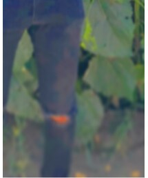 古着屋 | その他パンツ