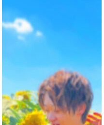 清瀬 ひまわり畑 | その他