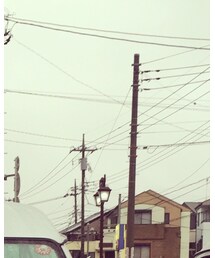 HANES | Tシャツ/カットソー