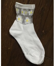 靴下屋 | ソックス/靴下