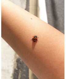 新しいおともだち | その他