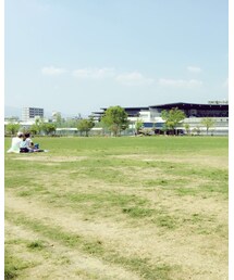 ピクニック日和 | その他