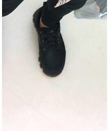 Timberland | スニーカー
