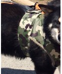 DOG DEPTの「トップス(タンクトップ)」