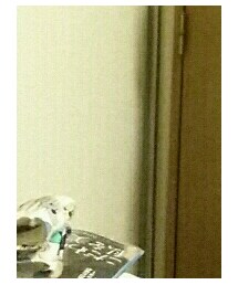 サルエル | その他パンツ