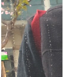 Fjallraven Kanken | バックパック/リュック