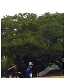 WEGO | ニットキャップ/ビーニー