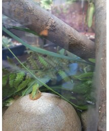 看板息子 | その他