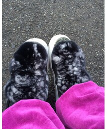 VANS | スニーカー