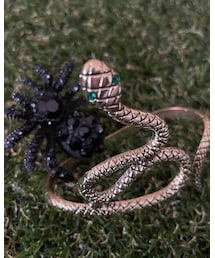 海外 | ヘビとクモ(ブレスレット)