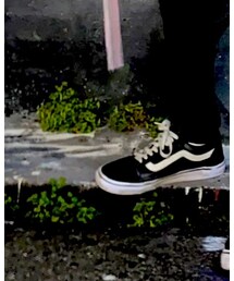 VANS | スニーカー