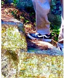 VANS | スニーカー