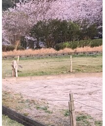 UNIQLO | ミリタリージャケット