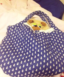 レゾリバード | レゾリバードの生地のトートです
お母さんが作ってくれました！(トートバッグ)