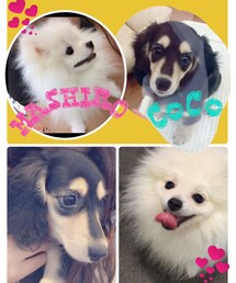 家族♡ | その他