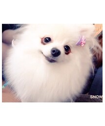 ぐはっ　（鼻血） | その他
