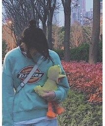 Dickies | パーカー