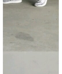 adidas Originals | スニーカー