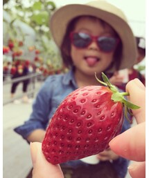 petit main | ハット