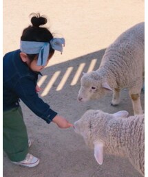 ♡♡♡ | その他