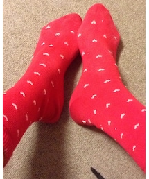 no brand | ソックス/靴下