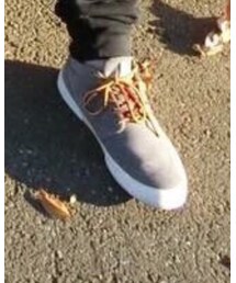 POLO RALPH LAUREN | スニーカー