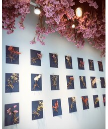 乾燥花💐 | その他