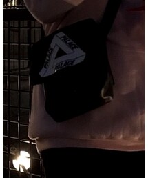 palace skateboards | ショルダーバッグ