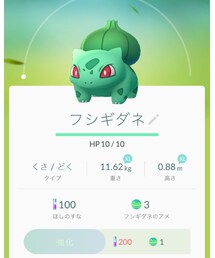 フシギダネ | その他