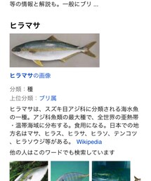 ヒラマサさん | その他