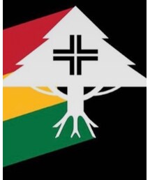 LRG | ニットキャップ/ビーニー