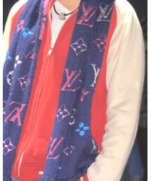 LOUIS VUITTON | マフラー