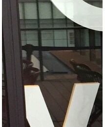 Vivienne Westwood | シャツ/ブラウス