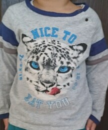 DIESEL | Tシャツ/カットソー