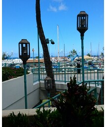 ハワイ | その他