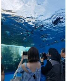 サンシャイン水族館 | その他