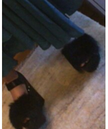 GALLERIE | サンダル