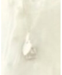 TIFFANY&Co. | ネックレス