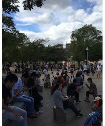ポケモンハンター達📸 | その他