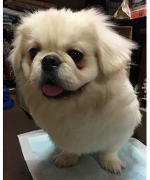 調子良くないやつ | その他