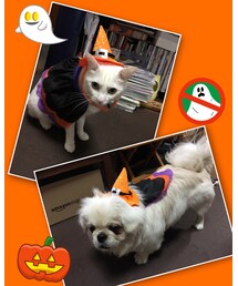 長男&次男 | その他