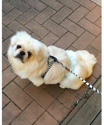 むぅくん | その他