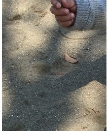 UNIQLO | レギンス/スパッツ