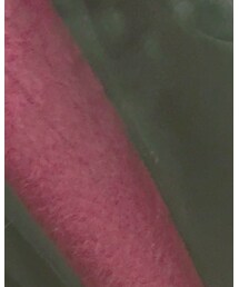 Honeys | ワンピース