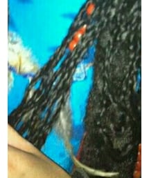 アバター | おもちゃ