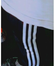 adidas | パンツ
