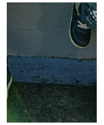 Lee | スニーカー